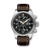 IWC パイロットウォッチ IW387903 レプリカ販売中